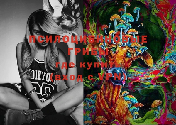 ECSTASY Алексеевка