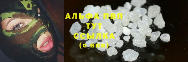 крисы Алзамай