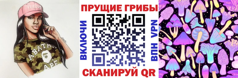 Купить закладки  Кущёвская  Галлюциногенные грибы Magic Shrooms 